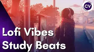 Lofi Vibes - Study Beats | 1 Hour of The Best Lofi Beats - Music to Study