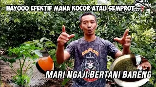 RIVIEW.❗HASIL APLIKASI JAKABA PADA LAHAN PERKEBUNAN, KAKAO, PALA, CENGKIH, DURIAN, BAWANG DAUN, PARE