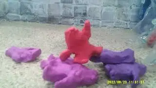 Clay Animation
