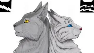 Коты-Воители