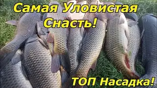 САМАЯ ПРОСТАЯ И САМАЯ УЛОВИСТАЯ Снасть для ловли Сазана и Карпа.