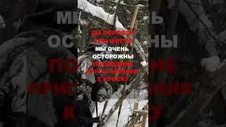 Принял медведя на копье