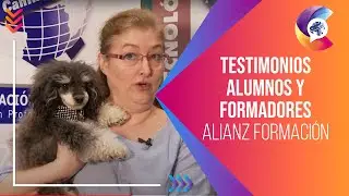 Testimonios de alumnos y formadores de Alianz Formación Internacional