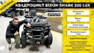 Квадроцикл Bison Shark 200 Lux