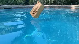 Dropping a log @splashpool