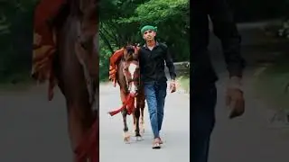 Up Bihar Rangdar।#shorts #trending #tuntuyadav #rangdari #bihar #up #bhojpuri #khesarilalyadav #yt 👑
