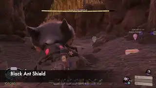 How to Kill a Black Ox Beetle