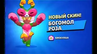 27 января 2024 г.