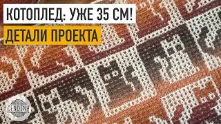 КотоПлед: треть связана, детали проекта