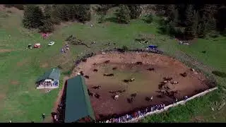 YUSUFELİ KARET DAĞI 2019