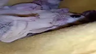 Ngintip Joey sugar glider Tidur