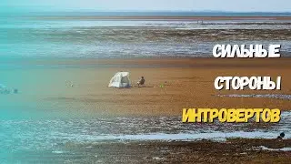 Преимущества интровертов