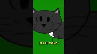 Mi GATO quedo TRAUMADO #animacion #humor #mascotas