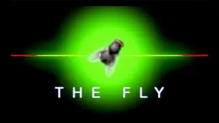 The Fly