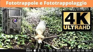 La Fototrappola Dsoon H8Wifi è un top di gamma? Scopriamolo insieme.