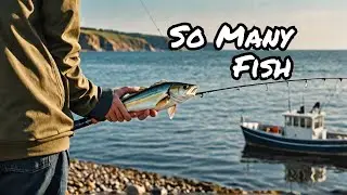 Look at how many fishes I caught in Whitby
