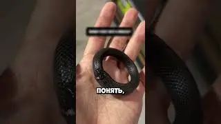 How the bracelet came to life in his hands 