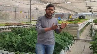 A brief about Indian Hydroponics!