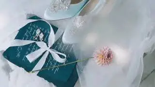 探访美国胶片摄影师的拍摄现场|Photoshoot Vlog|Aegir Wedding