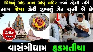 આ મૂર્તિ દૂધ નહીં પણ લોકો માંથી સાપનું ઝેર ચૂસી જાય છે | Vasangidham Hadmatiya
