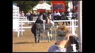 Royal Show Welsh B 1995