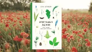 Книги з літньою атмосферою