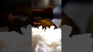 Alu sidho bhaat shot #cooking #bengalivlog #bongfood