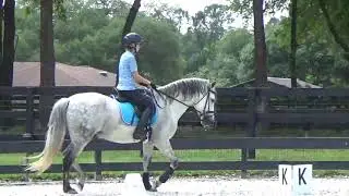 Karla.CustomSaddlery 4