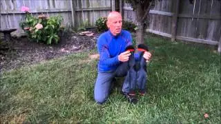 Lorpen Expedition sock