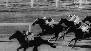 Australia's Richest Horse Race. Australian Diary 2.