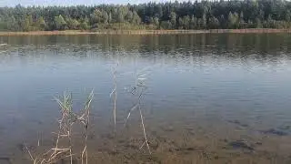 Мазуринское озеро в Балашихе - состояние в 2024 году