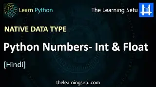 Native data type : Python Numbers - Integer & Float (Hindi) | The Learning Setu