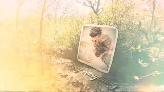 Spring Wedding Slide - after effect template
