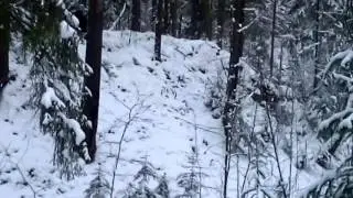 Ахахаха прикол