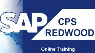 SAP CPS REDWOOD TRAINING DEMO VIDEO | SAP CPS REDWOOD ONLINE COURSE - SAP NETIZENS
