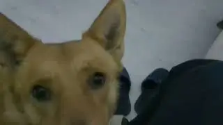 Аліса дивиться фільм "Скеля"
