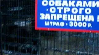 Зоопарк в Коломно