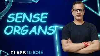 Sense Organs ICSE Class 10 | Sense Organs One Shot | Human Anatomy and Physiology | 