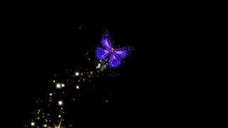 butterfly black screen effect | butterfly flying black screen video | black screen butterfly status