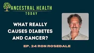 Ron Rosedale - What Really Causes Diabetes and Cancer? - (Ancestral Health Today Episode 024)