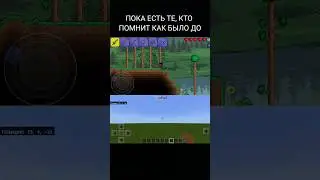 #шортс #майнкрафт #мемы #tiktok #minecraft #майн #shorts #terraria #террария #тикток