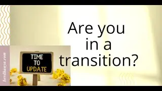 What are transitions?