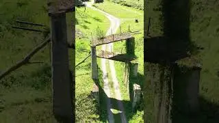 Diekirch Schoffsbësch Luxembourg #Shorts
