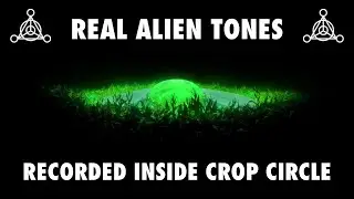 Crop Circles Tones | Real Alien Noises Recorded In The Crop Circles 1989 [ Rare Recordings]