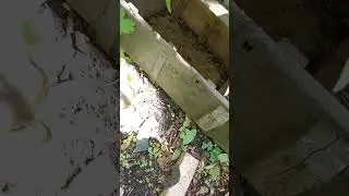 окопы войны лето ч.1