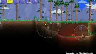 Terraria #2