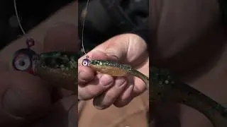 NEW deadly Walleye combo! 🔥 #youtubeshorts