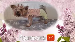 Распаковка с алиэкспресс летняя одежда для Фанни и ланч бокс.