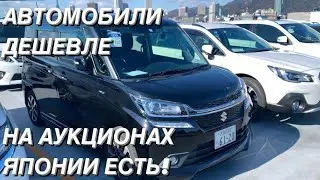 HONDA FREED SPIKE ИЛИ SUZUKI SOLIO BANDIT? ЧТО НА АУКЦИОНЕ ДЕШЕВЛЕ
