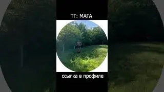 Зовите меня Мага-травакос... #смех #шутка #юмор #кринж #веселье #прикол